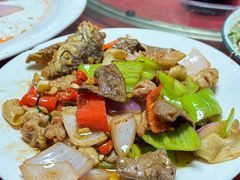 疊彩龍魚店，疊彩龍魚店是否存在 疊彩龍魚店，疊彩龍魚店是否存在 全國水族館企業名錄 第8張