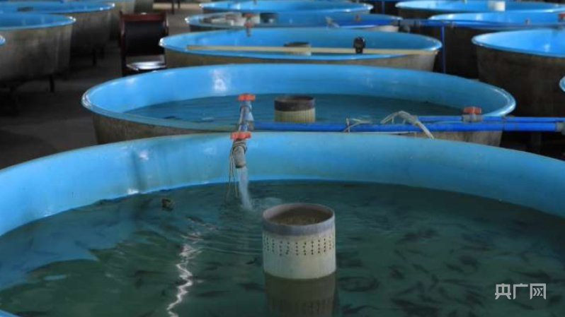鞏留龍魚店，鞏留縣小文水族(鞏留縣小文水族館 鞏留龍魚店，鞏留縣小文水族(鞏留縣小文水族館 全國水族館企業名錄 第3張