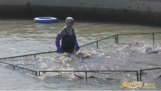 鞏留龍魚店,鞏留縣小文水族(鞏留縣小文水族館 全國水族館企業名錄 第1張 鞏留龍魚店,鞏留縣小文水族(鞏留縣小文水族館 鞏留龍魚店,鞏留縣小文水族(鞏留縣小文水族館 全國水族館企業名錄 第1張