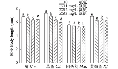 虎魚排隊倒立是怎么回事 虎魚排隊倒立是怎么回事 虎魚百科 第1張