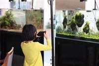 防城港水族店，開一家水族店怎么樣