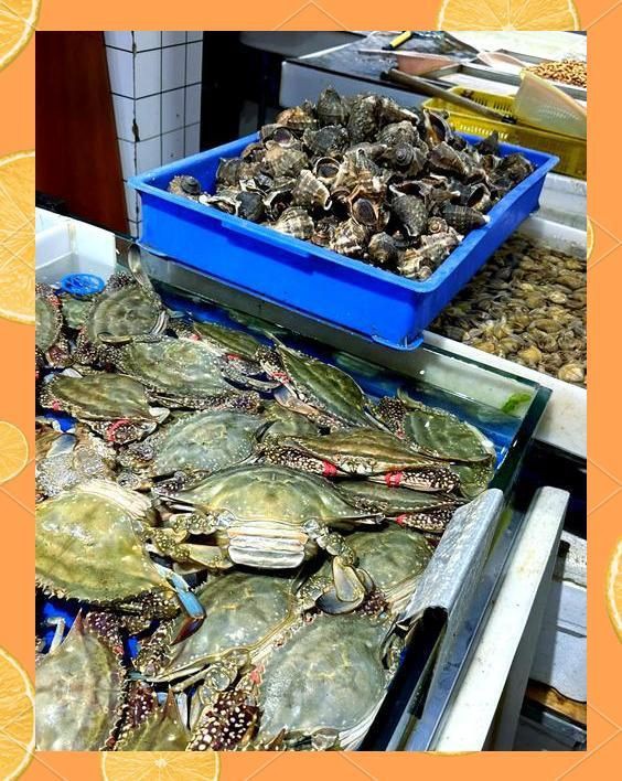 威海水族批發市場，關于威海水產品批發市場的一段話