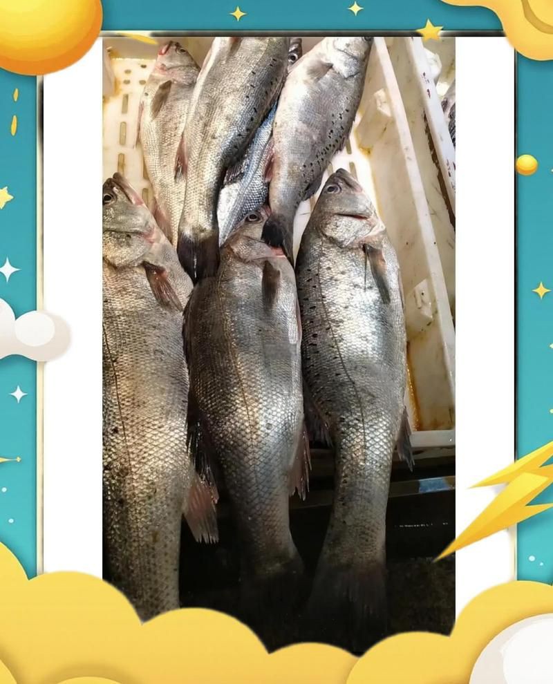 威海水族批發市場，關于威海水產品批發市場的一段話