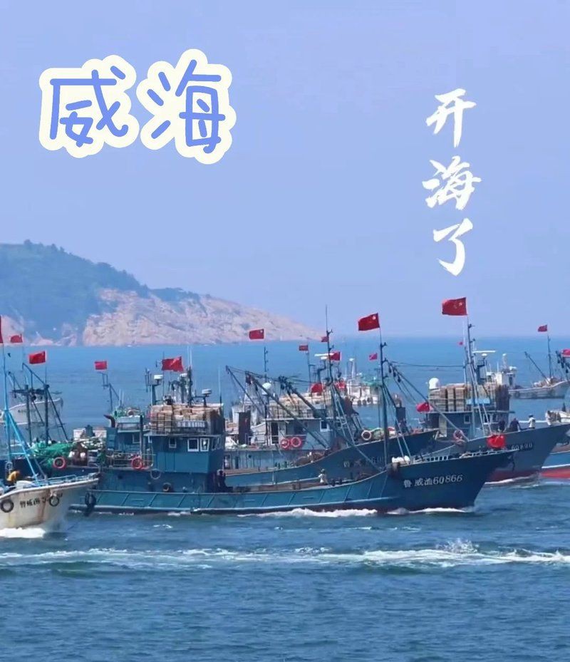 威海水族批發市場，關于威海水產品批發市場的一段話
