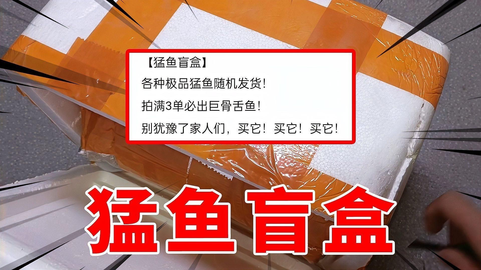 猛魚盲盒巨骨舌魚，嗶哩嗶哩網購買了猛魚盲盒，老板說能開出巨骨舌魚