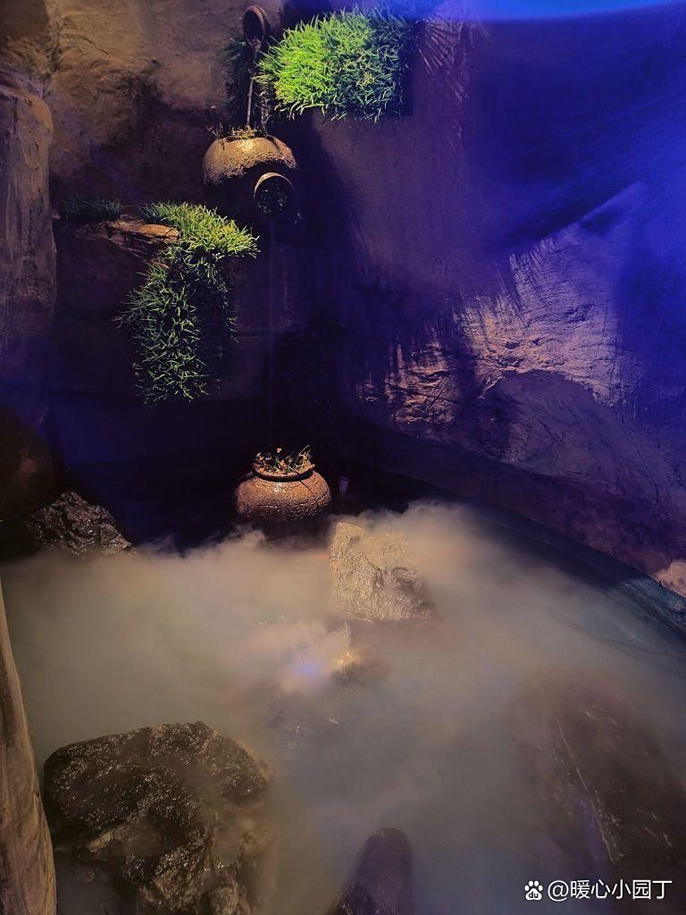 尋烏龍魚店，尋烏魚店的價(jià)格范圍有哪些