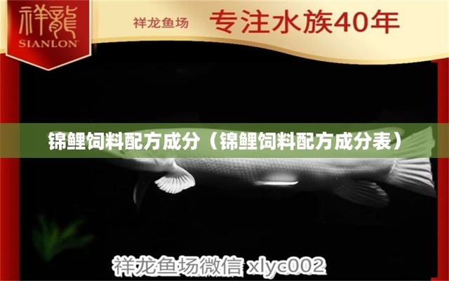 搬家魚缸里面放幾條魚：在搬家時，如何處理魚缸里的魚？