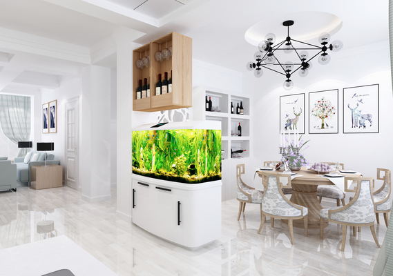 石家莊市橋東區(qū)鑫友水族館（石家莊市橋東區(qū)鑫友水族館電話）