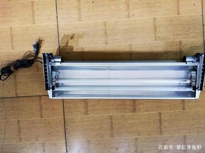 魚缸的擺放方向與風(fēng)水，如何根據(jù)住宅類型定財位