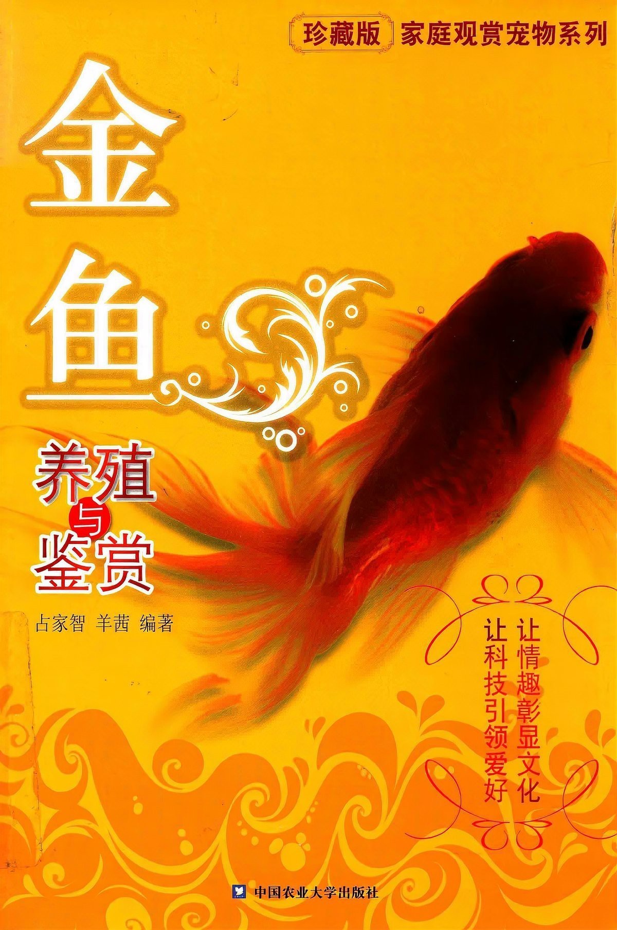養金龍魚幾條最好旺財，家里養幾條金龍魚可以旺財嗎