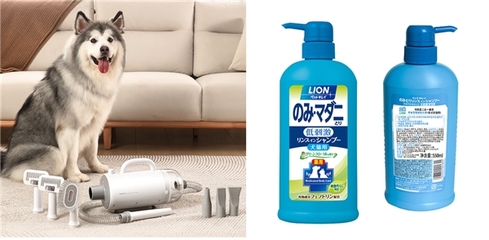 銀龍魚身上有白點是怎么回事兒啊吃什么藥能治好(銀龍魚身上有白膜脫落怎么辦)