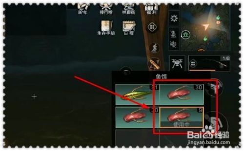 銀龍魚一次吃多少合適(銀龍魚的食量是多大)