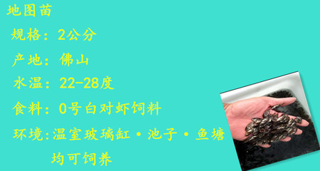 銀龍魚視頻觀賞圖片(銀龍魚兇猛視頻)