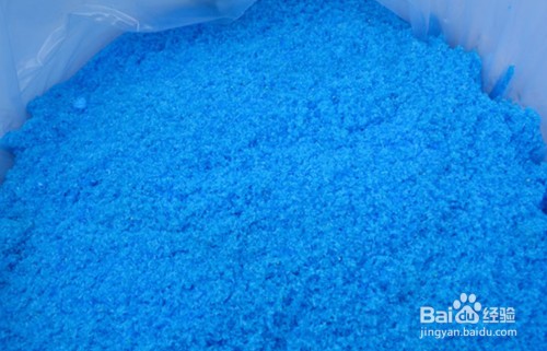 普通銀龍魚(yú)多少錢(qián)一條(銀龍魚(yú)一條多少錢(qián)市場(chǎng)價(jià)?)