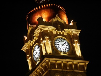 龍魚和虎鯊可以混養嘛(銀龍魚可以和虎鯊魚一起養嗎?)