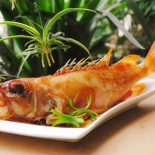玫瑰丹魚最佳搭配，《玫瑰丹魚最佳搭配》