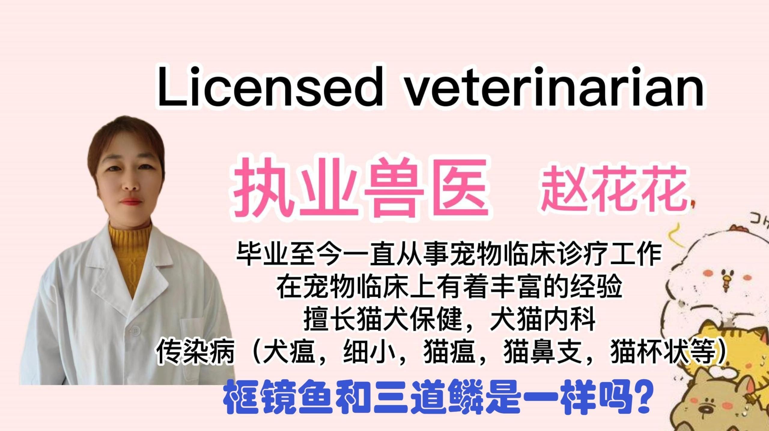 框鏡魚是什么魚【只有一排魚鱗的魚叫什么魚】 框鏡魚是什么魚【只有一排魚鱗的魚叫什么魚】 龍魚百科 第3張