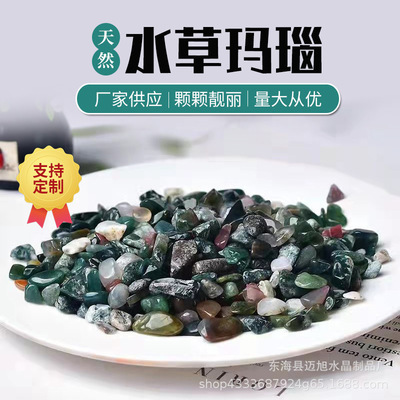 金戈市場風(fēng)帆水族（金戈旗艦店金戈最新報價）