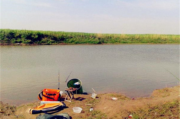 1.3米的魚缸可以養多少魚：1.3米的魚缸可以養多少魚，