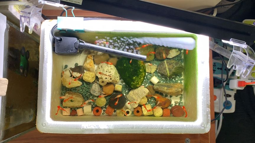 清洗魚缸的簡單方法圖解:如何清洗魚缸? 魚缸百科 第1張 清洗魚缸的簡單方法圖解:如何清洗魚缸? 清洗魚缸的簡單方法圖解:如何清洗魚缸? 魚缸百科 第1張