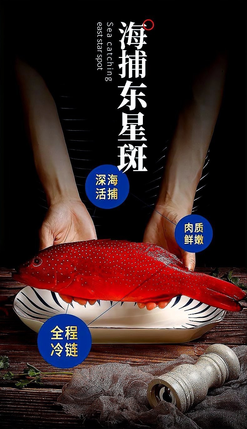 東星斑魚，東星斑為什么被稱為“東星斑”？