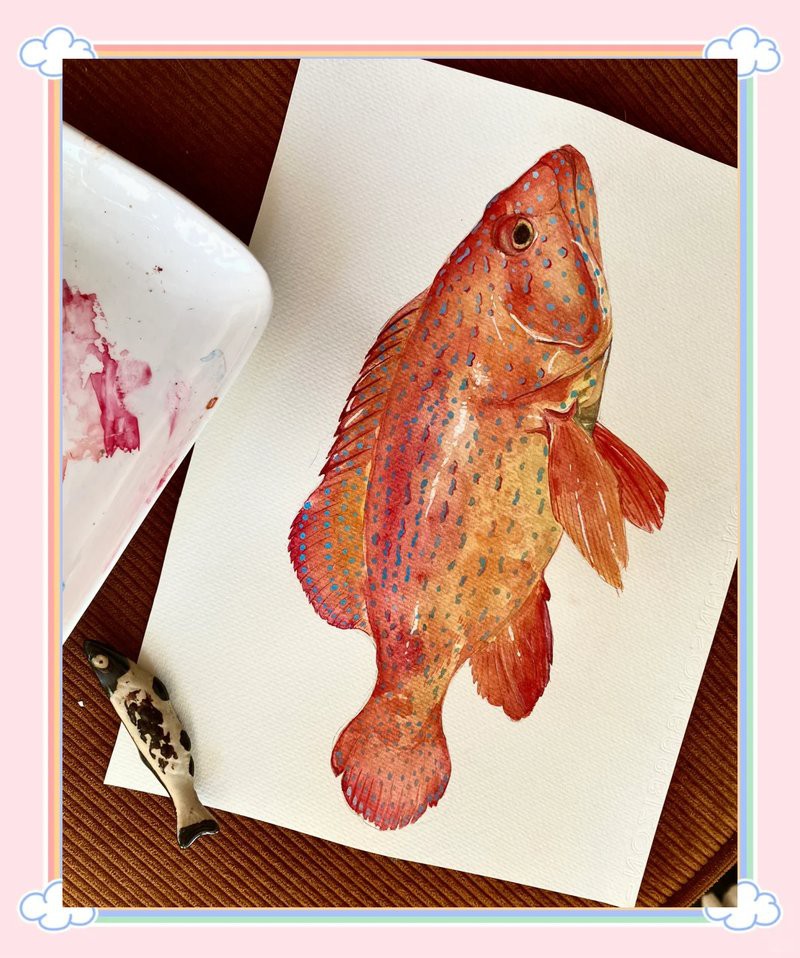 東星斑魚，東星斑為什么被稱為“東星斑”？