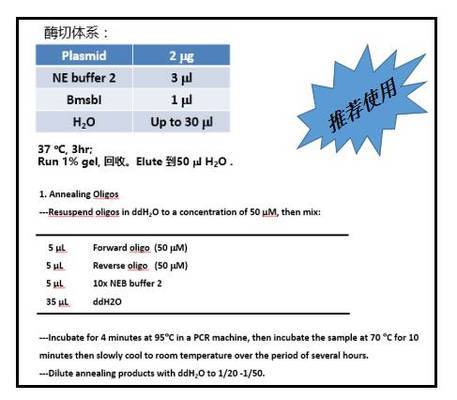 皇冠狗頭魚缸尺寸建議：選擇容量至少為300升以上魚缸：關(guān)于皇冠狗頭魚缸尺寸的建議