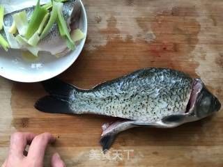 銀龍魚適應的水溫多少度合適(銀龍魚適合的溫度應該是多少度)