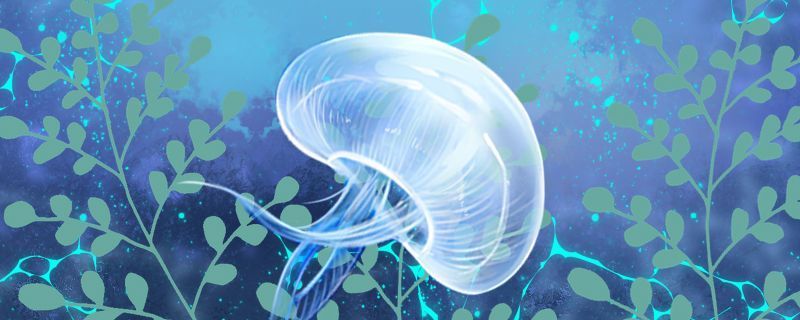 魚缸放在什么位置比較好？：魚缸放在什么位置招財