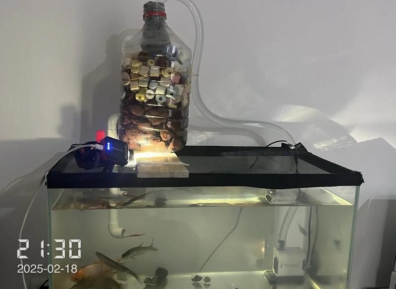 聚創(chuàng)麒水族箱過濾材料