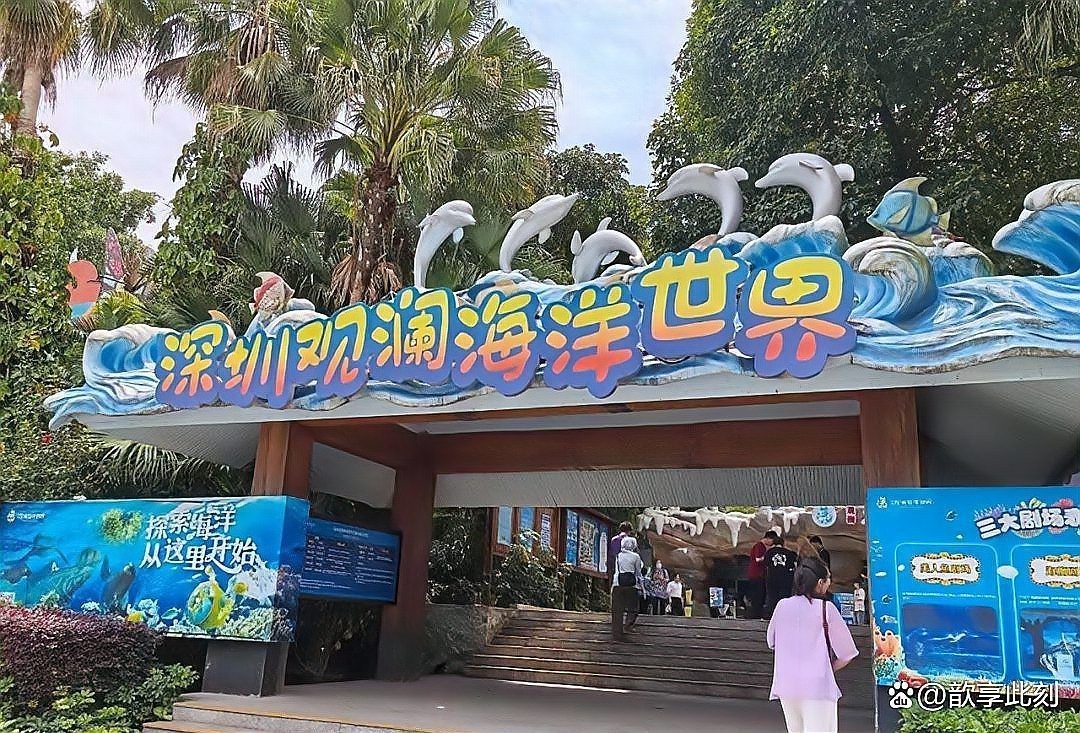 深圳最大水族批發(fā)市場，深圳最后一筐皮皮蝦水族集散中心之一 深圳最大水族批發(fā)市場，深圳最后一筐皮皮蝦水族集散中心之一\