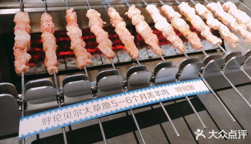 呼倫貝爾龍魚店，呼倫貝爾哪里有龍魚店
