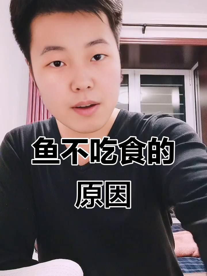 魚(yú)突然不吃食的6大原因，魚(yú)突然不吃食是養(yǎng)殖過(guò)程中常見(jiàn)的6大原因及詳細(xì)分析