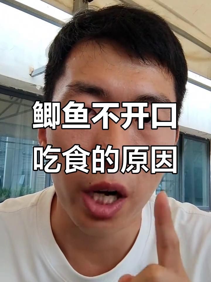 魚(yú)突然不吃食的6大原因，魚(yú)突然不吃食是養(yǎng)殖過(guò)程中常見(jiàn)的6大原因及詳細(xì)分析
