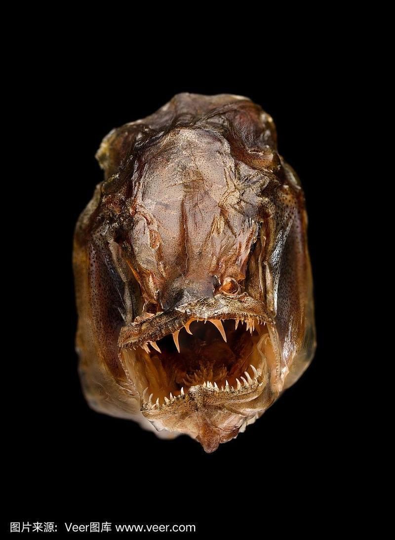 魔鬼魚臉圖片，攝影師拍到罕見“魔鬼魚”,科普揭秘其真實面貌