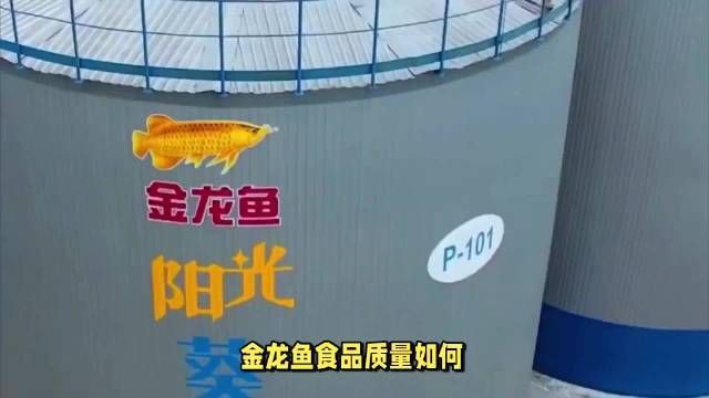 金龍魚的品牌理念，金龍魚食品質(zhì)量如何揭秘品牌背后的質(zhì)量保障秘密