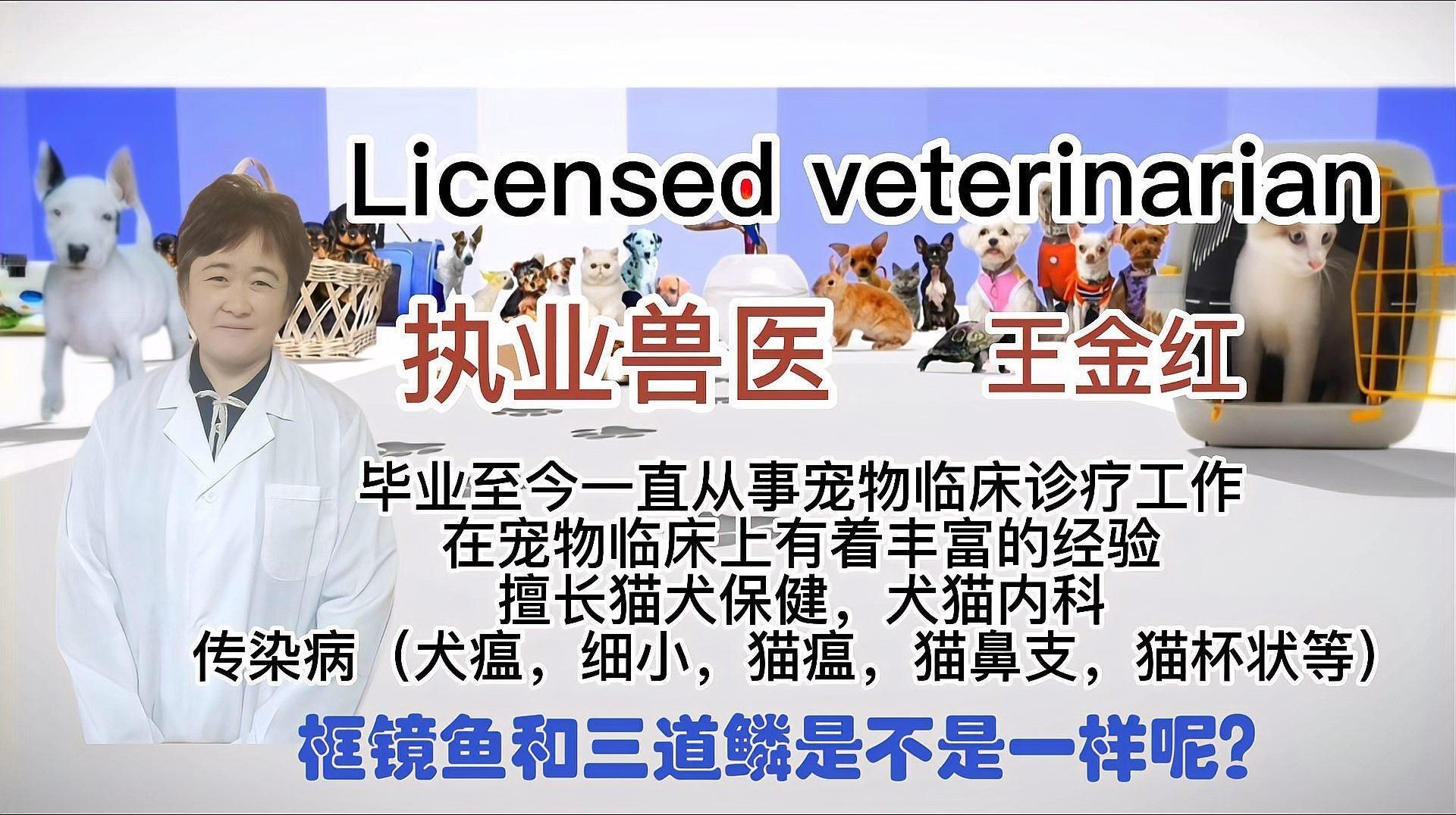 框鏡和三道鱗是一種魚(yú)嗎，框鏡魚(yú)和三道鱗一樣嗎