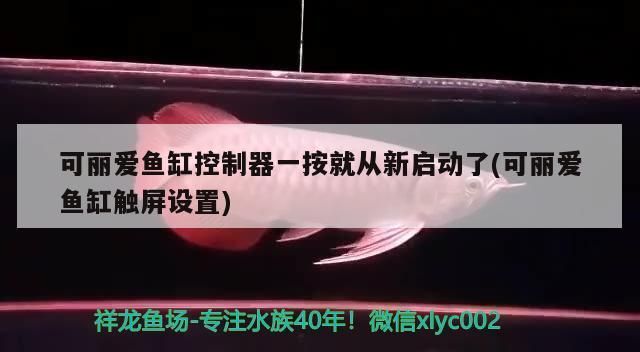可麗愛魚缸使用年限：可麗愛魚缸抗老化技術(shù)解析