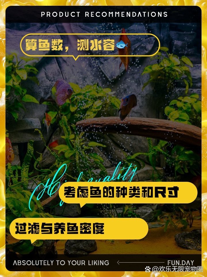 40x23x25魚缸養幾條魚，40x23x25魚缸養幾條魚缸養魚數量指南