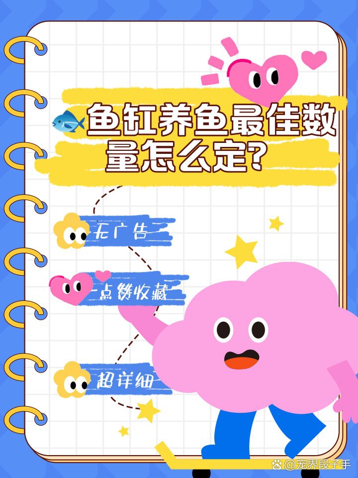 40x23x25魚缸養幾條魚，40x23x25魚缸養幾條魚缸養魚數量指南