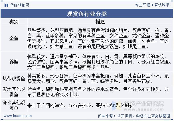 全國最大觀賞魚批發(fā)市場，中國觀賞魚市場 全國最大觀賞魚批發(fā)市場，中國觀賞魚市場 龍魚論壇 第5張