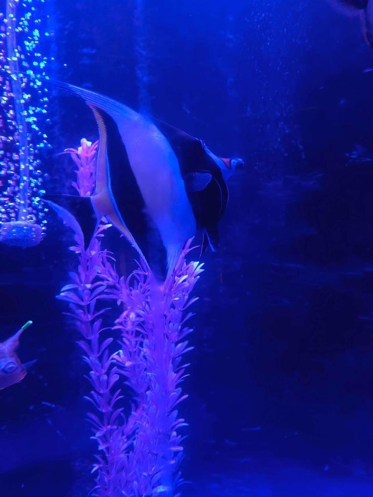 寧陽水族店，寧陽水族店哪個口碑最好