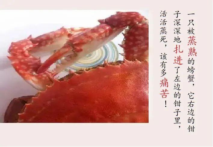 佛教魚蝦為啥不算葷，《佛教魚蝦為啥不算葷》