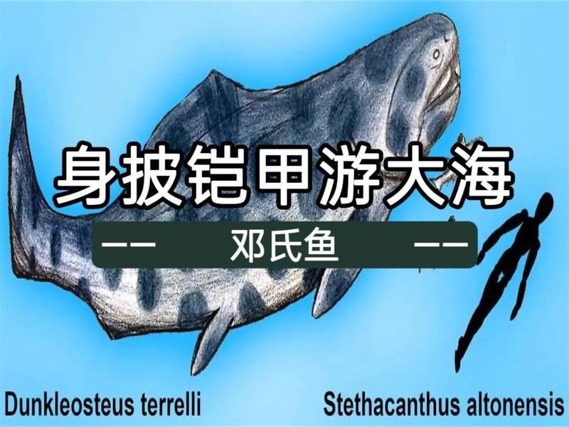 世界上有身披鎧甲的怪魚嗎，世界上有鎧甲的人類嗎？
