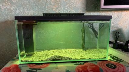 魚缸養護秘籍擁有一款美麗的魚缸不僅能增添觀賞性：冠吉魚缸價格一般多少