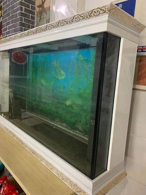 家庭魚缸圖片真實照片，《家庭魚缸圖片真實照片》家庭魚缸圖片真實照片展開