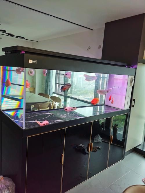 家庭魚缸圖片真實照片，《家庭魚缸圖片真實照片》家庭魚缸圖片真實照片展開