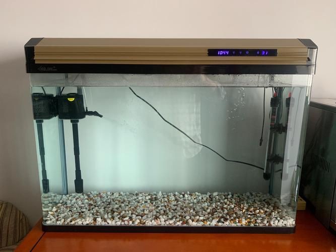 家庭魚缸圖片真實照片，《家庭魚缸圖片真實照片》家庭魚缸圖片真實照片展開