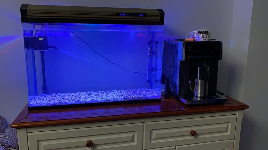 家庭魚缸圖片真實照片，《家庭魚缸圖片真實照片》家庭魚缸圖片真實照片展開