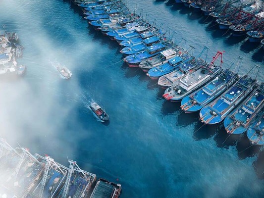 魚(yú)缸造景用什么木頭好：杜鵑根、杜鵑根、紫檀木、紅木、紅木、烏木、烏木、烏木